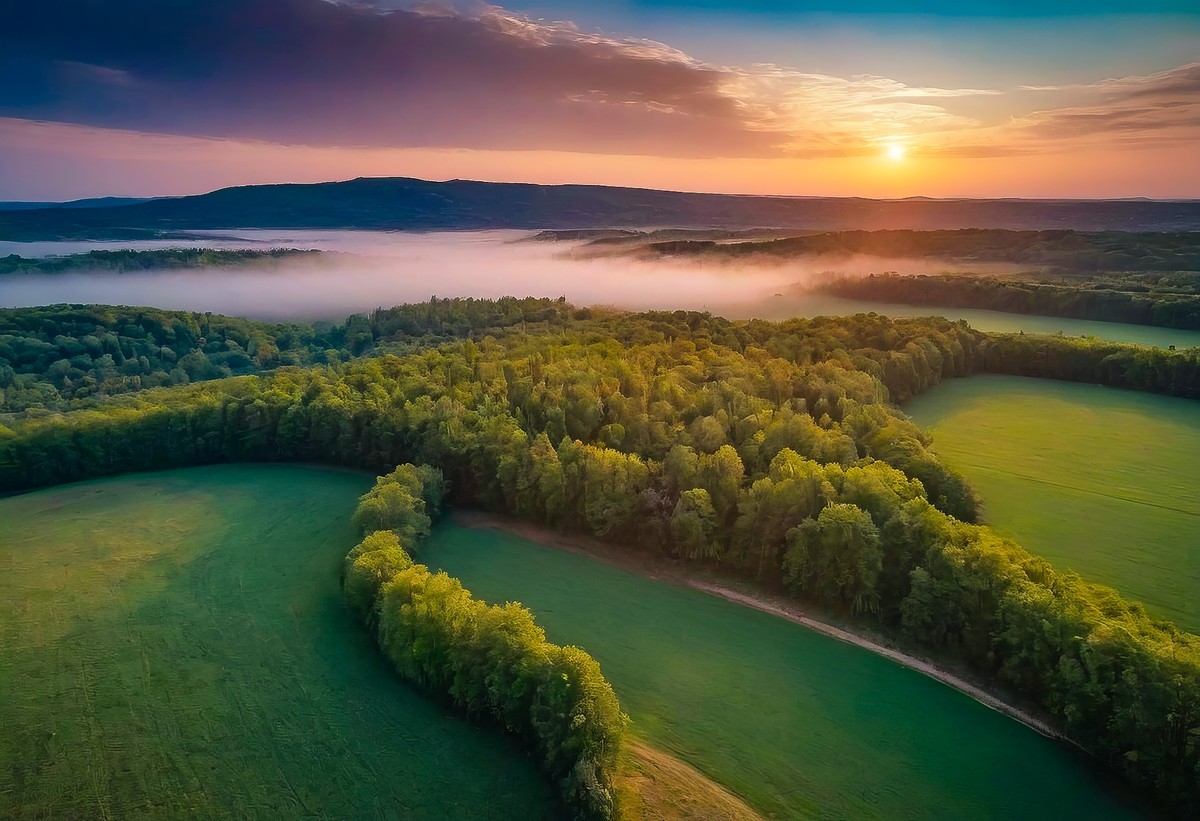 觅一份静谧时光