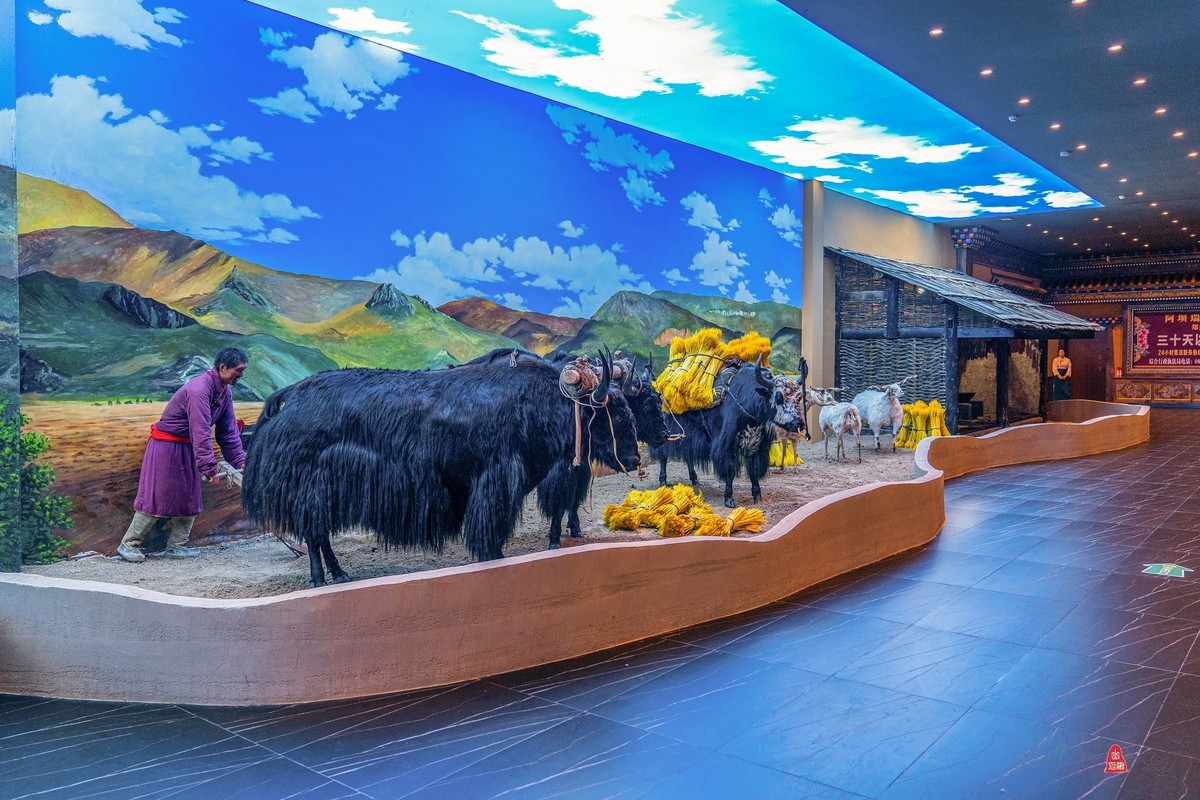 四川行（八）藏乡新貌（1）