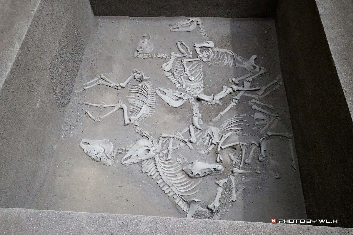 太公在此——陈庄.唐口遗址