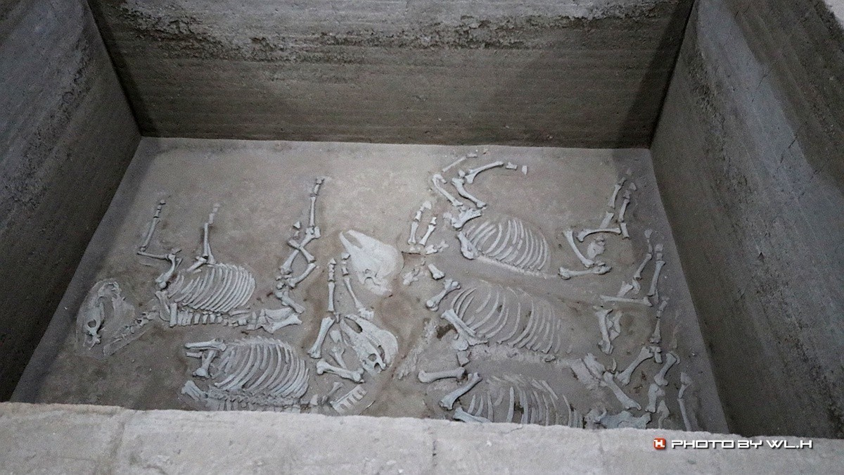 太公在此——陈庄.唐口遗址