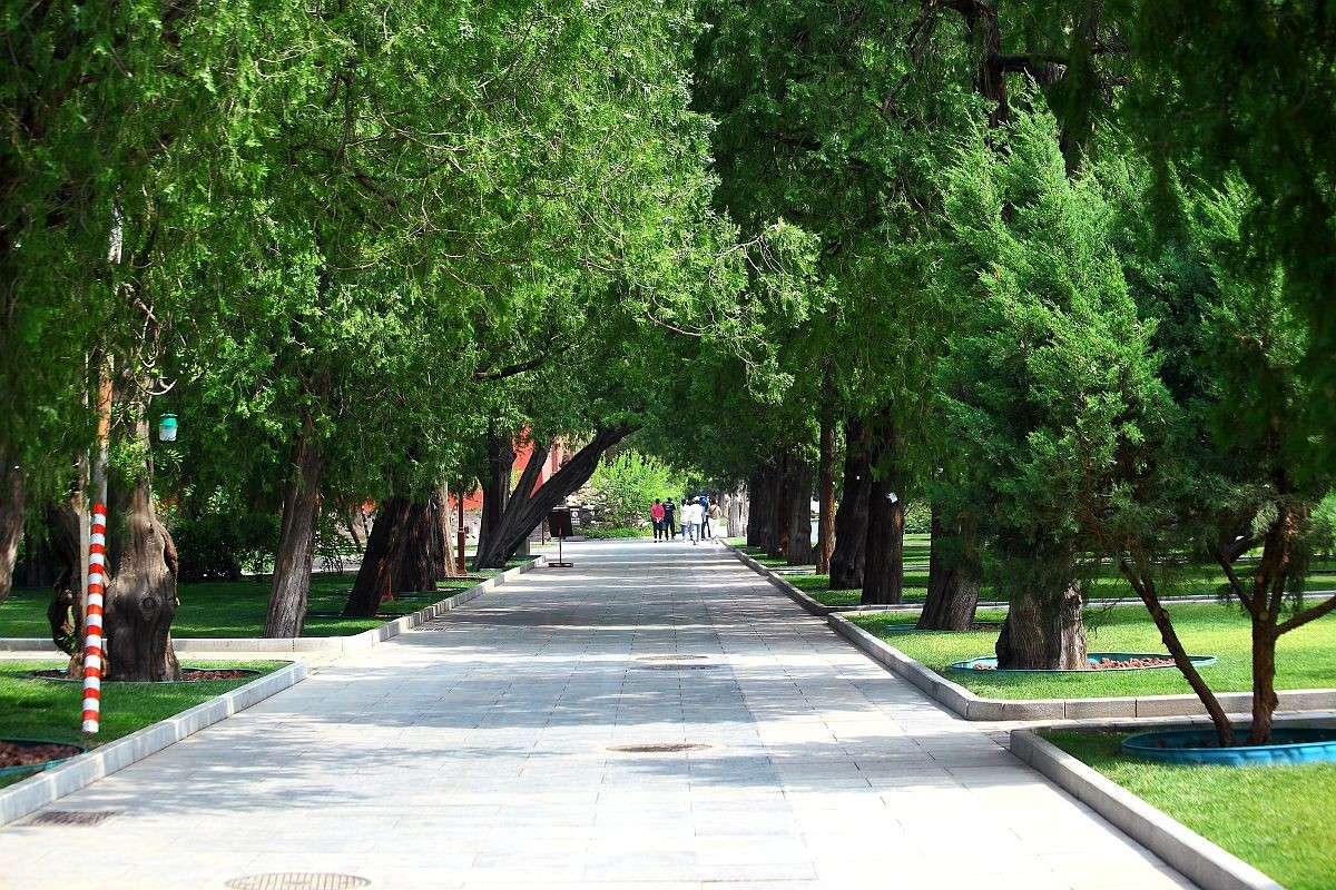 刚买了RP机，还没到手，过来串串门！