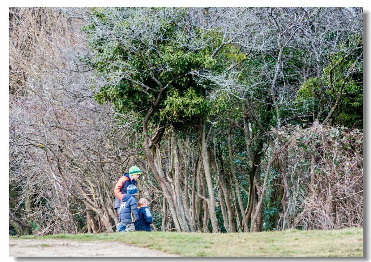 踏冬“罗马山”的德国人民