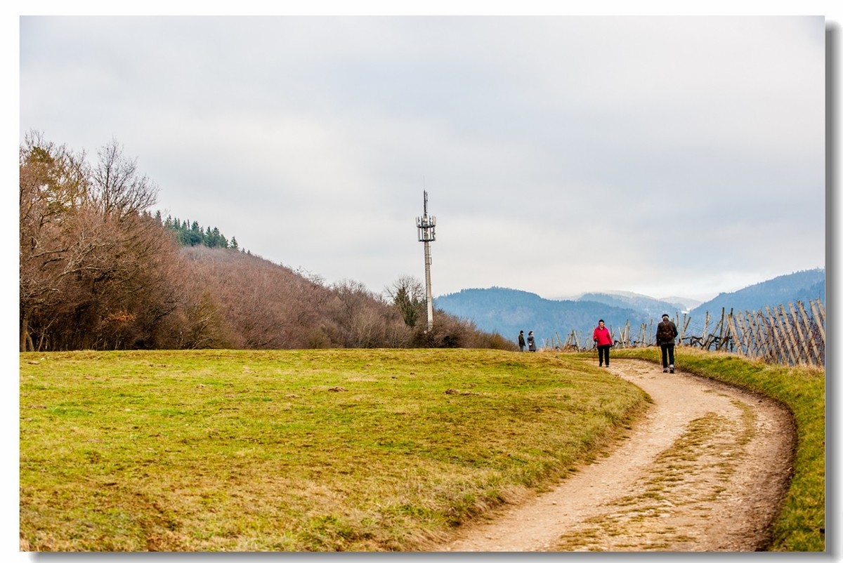 踏冬“罗马山”的德国人民