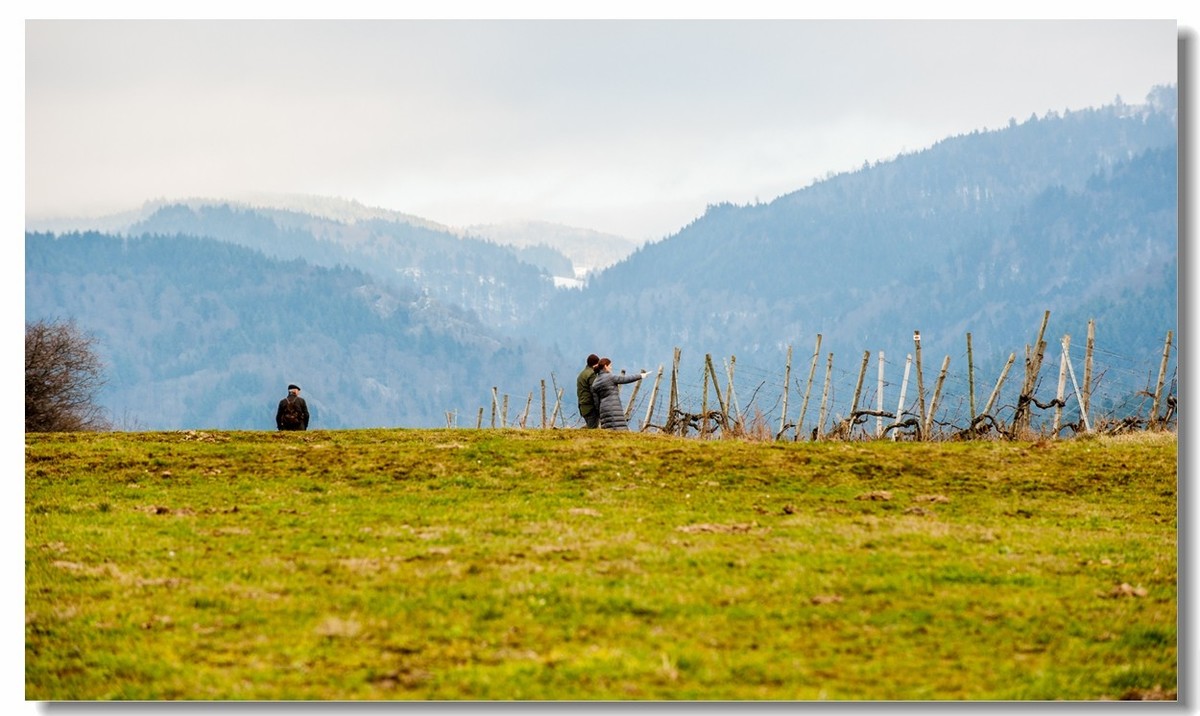 踏冬“罗马山”的德国人民