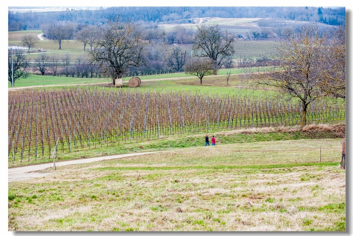 踏冬“罗马山”的德国人民
