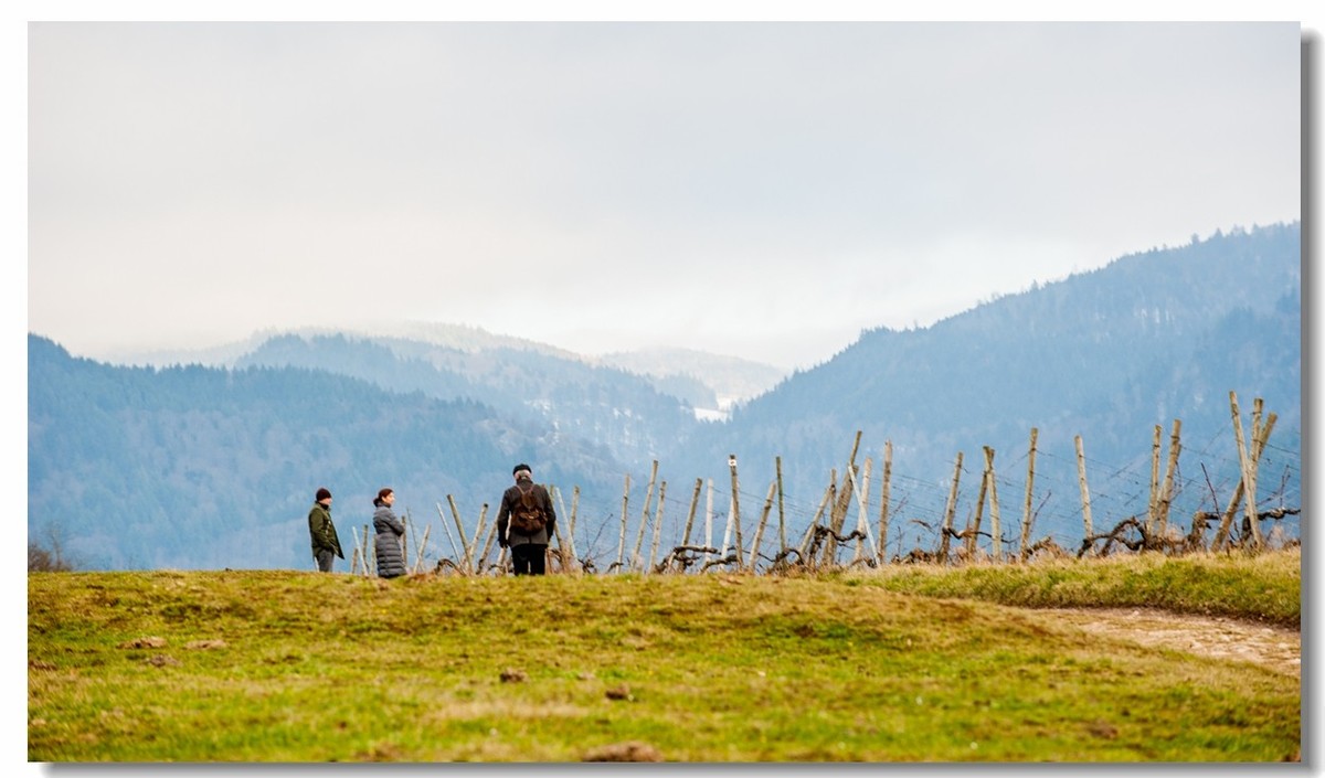 踏冬“罗马山”的德国人民