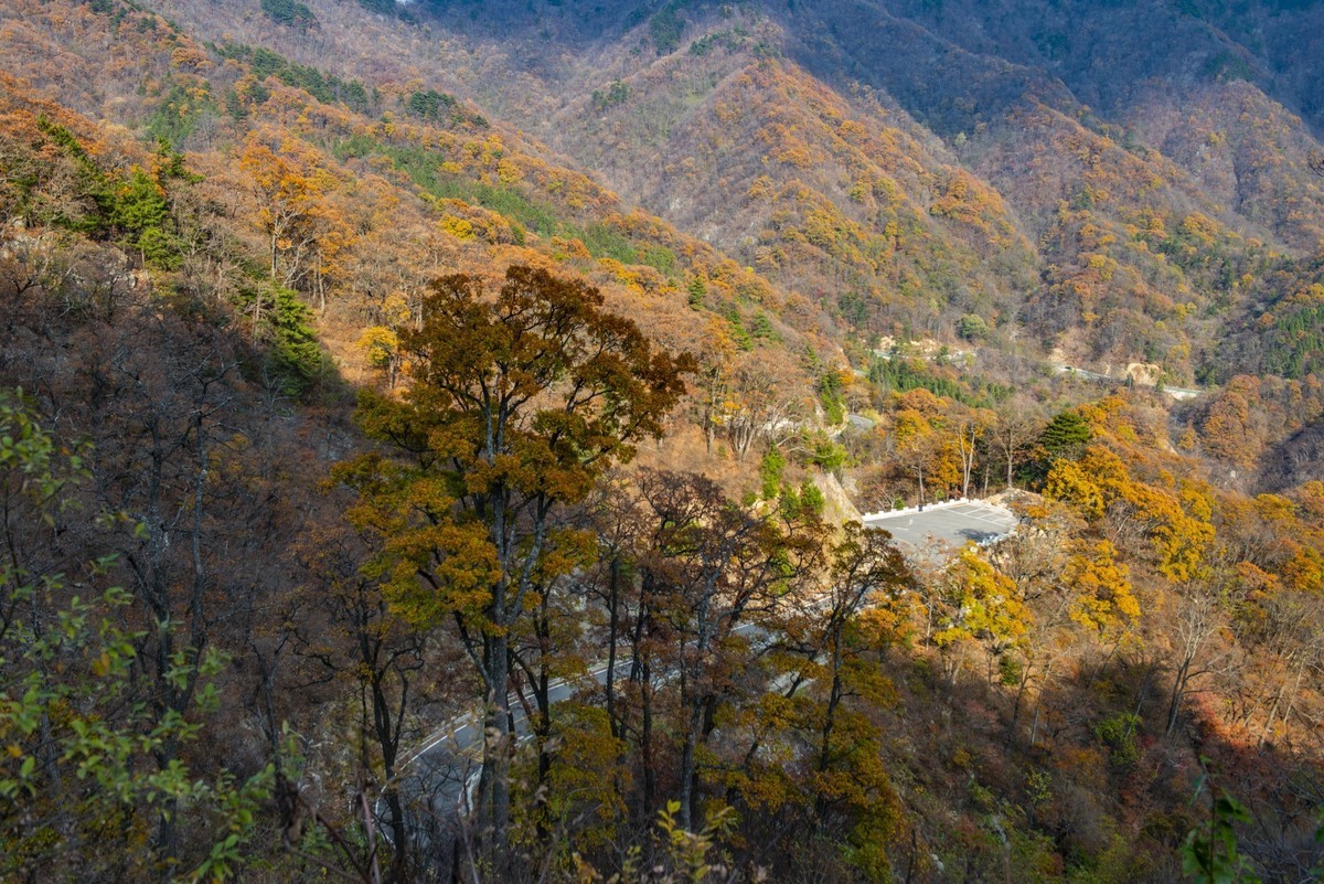 马鬃岭自然保护区图片