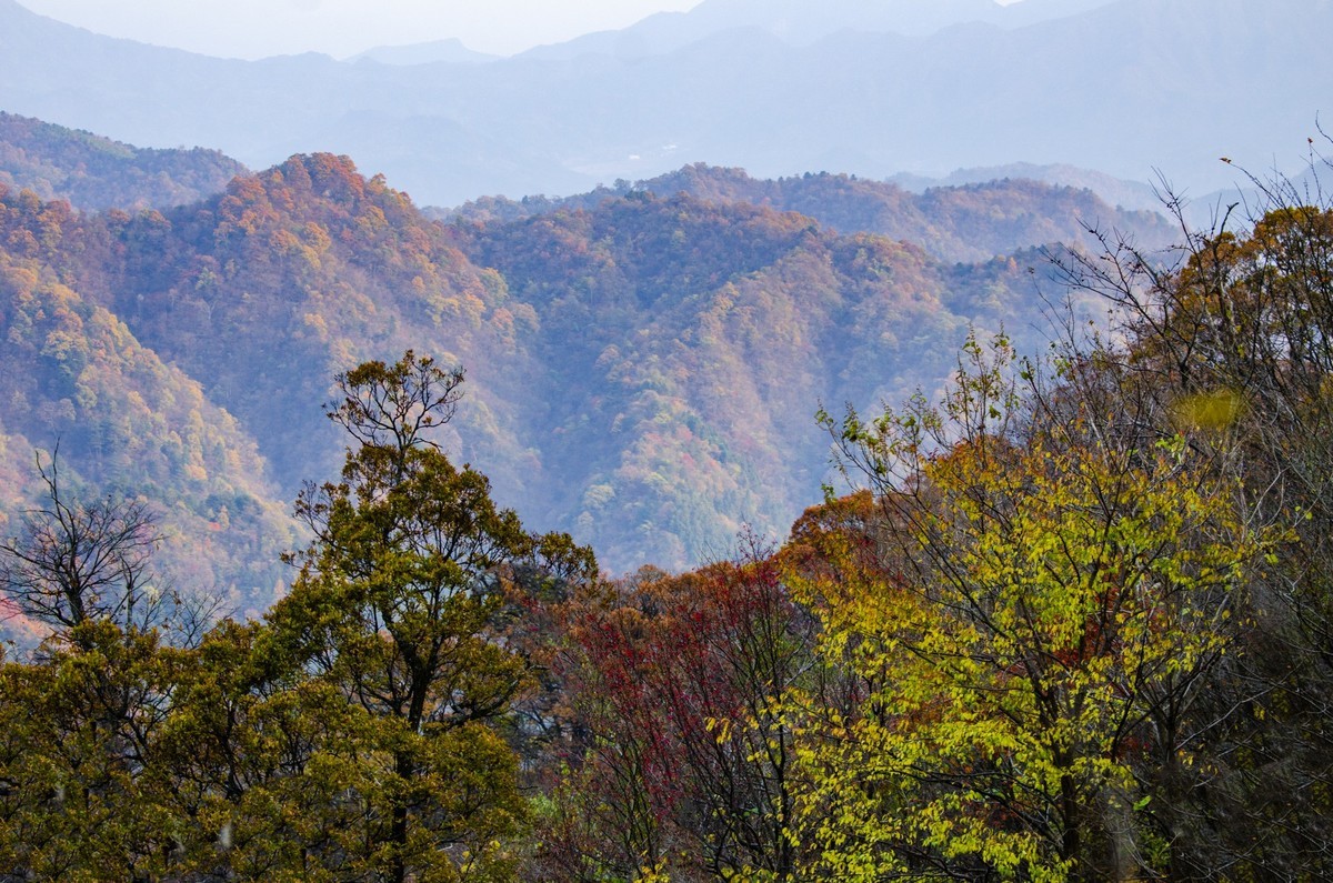 马鬃岭自然保护区图片