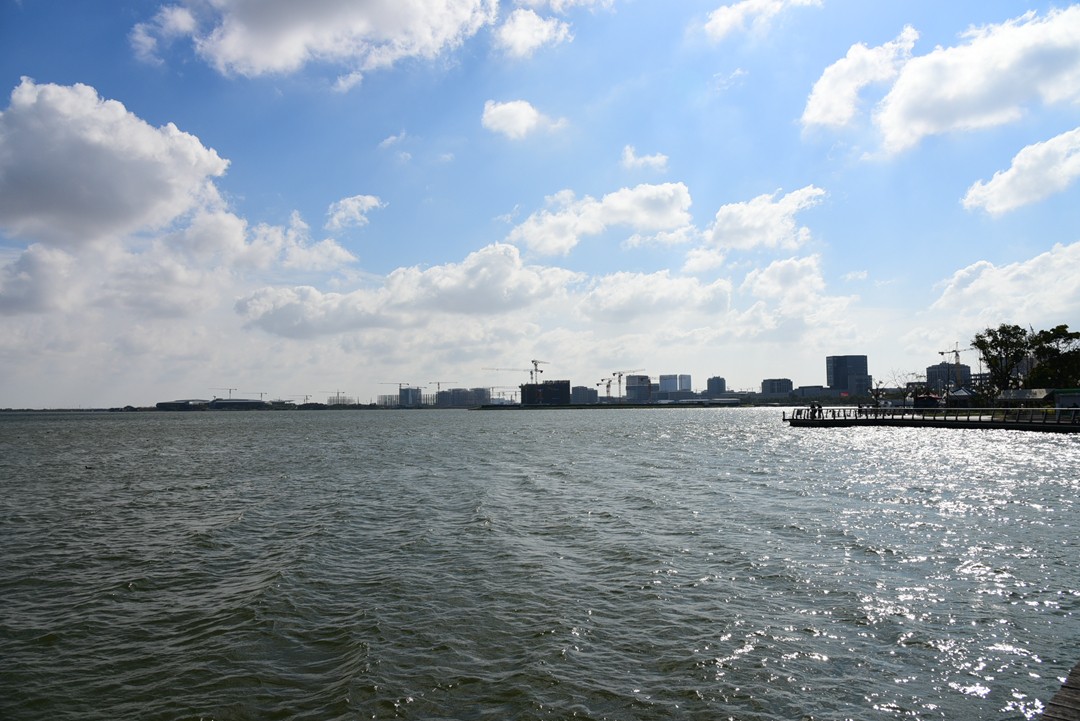 难得回来，跟新朋老友问个好！