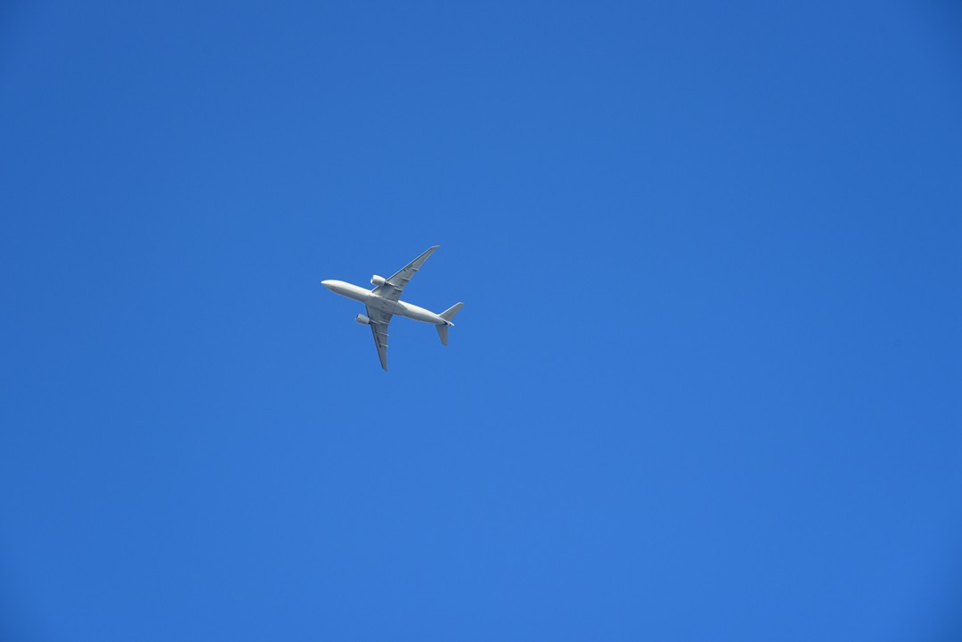 难得回来，跟新朋老友问个好！