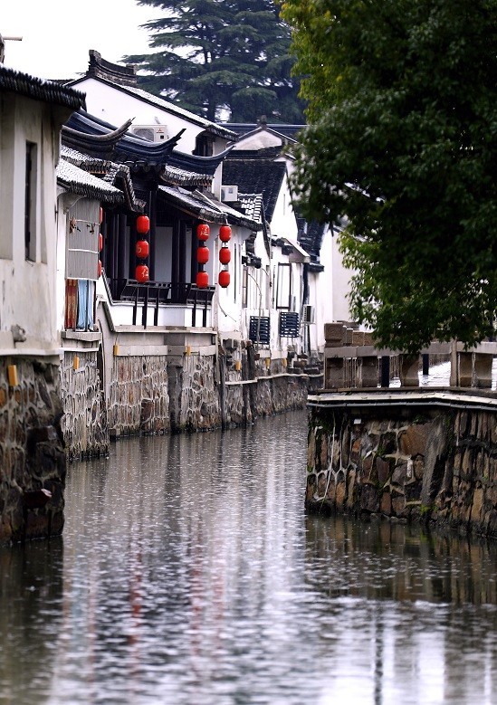 发最近的些杂图，没有系列，只有随性拍