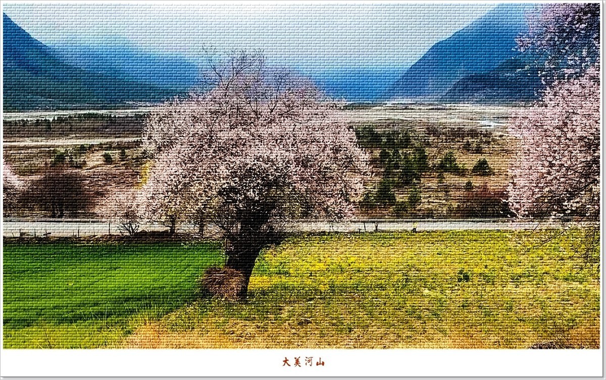 2023年第0188贴-波密风光抓拍集锦（0323F）