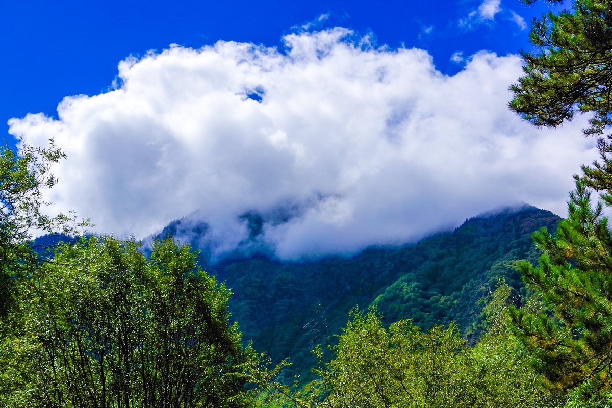 四川茂县松坪沟掠影（下）