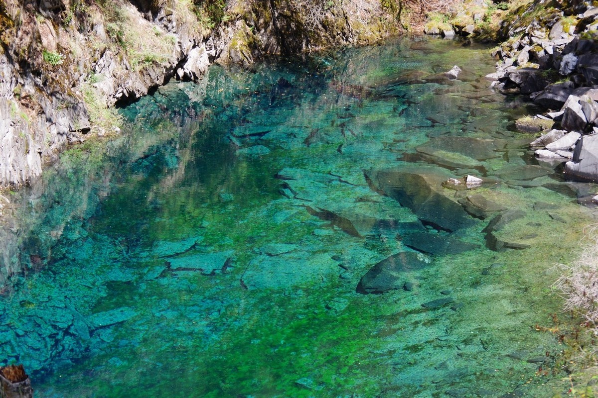 四川茂县松坪沟掠影（下）