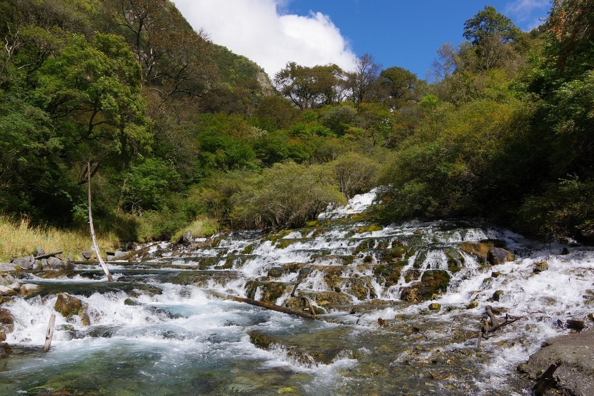 四川茂县松坪沟掠影（下）
