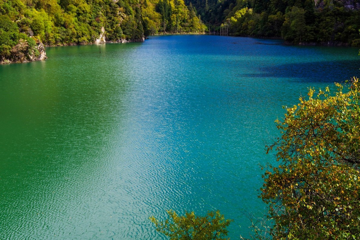 四川茂县松坪沟掠影（上）