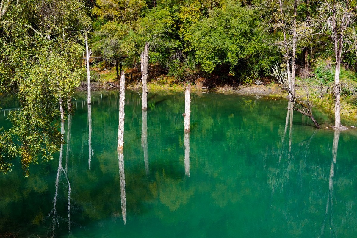 四川茂县松坪沟掠影（上）