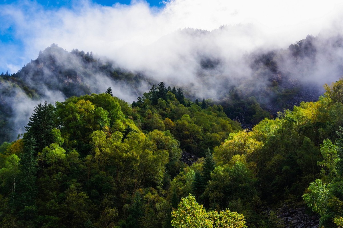 四川茂县松坪沟掠影（上）