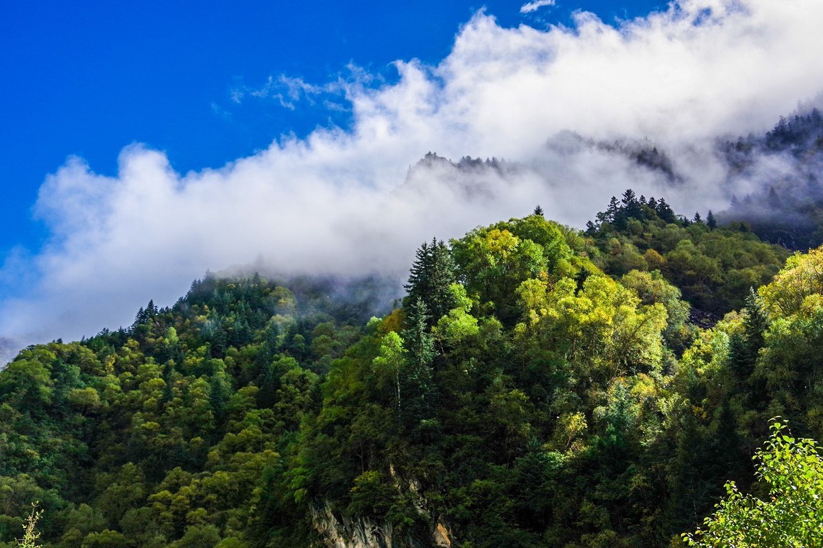 四川茂县松坪沟即景