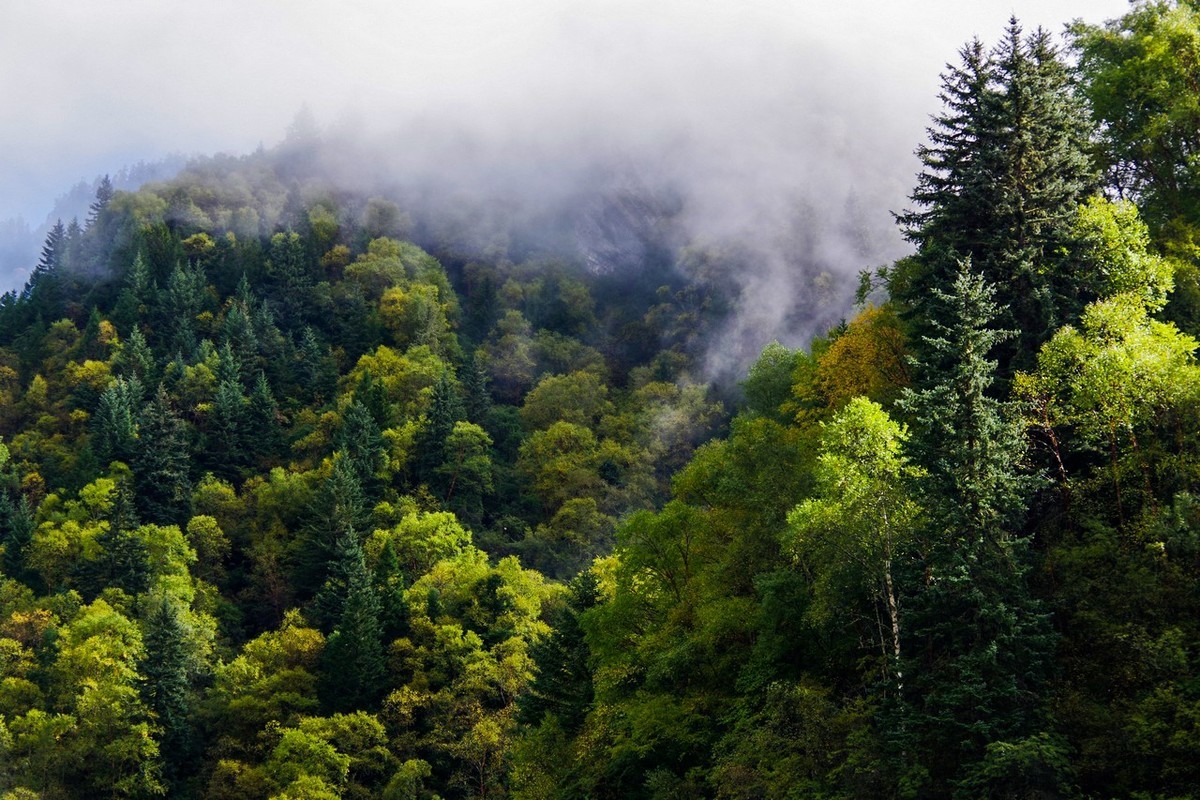 四川茂县松坪沟即景