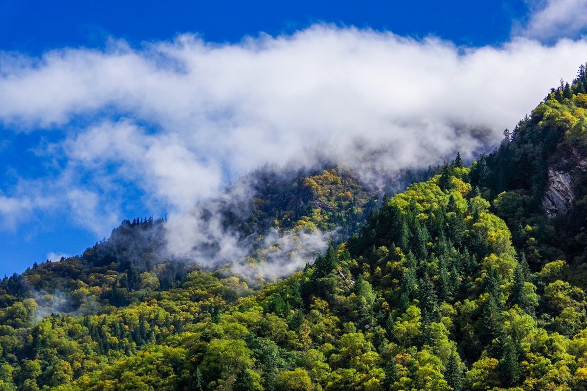 四川茂县松坪沟即景