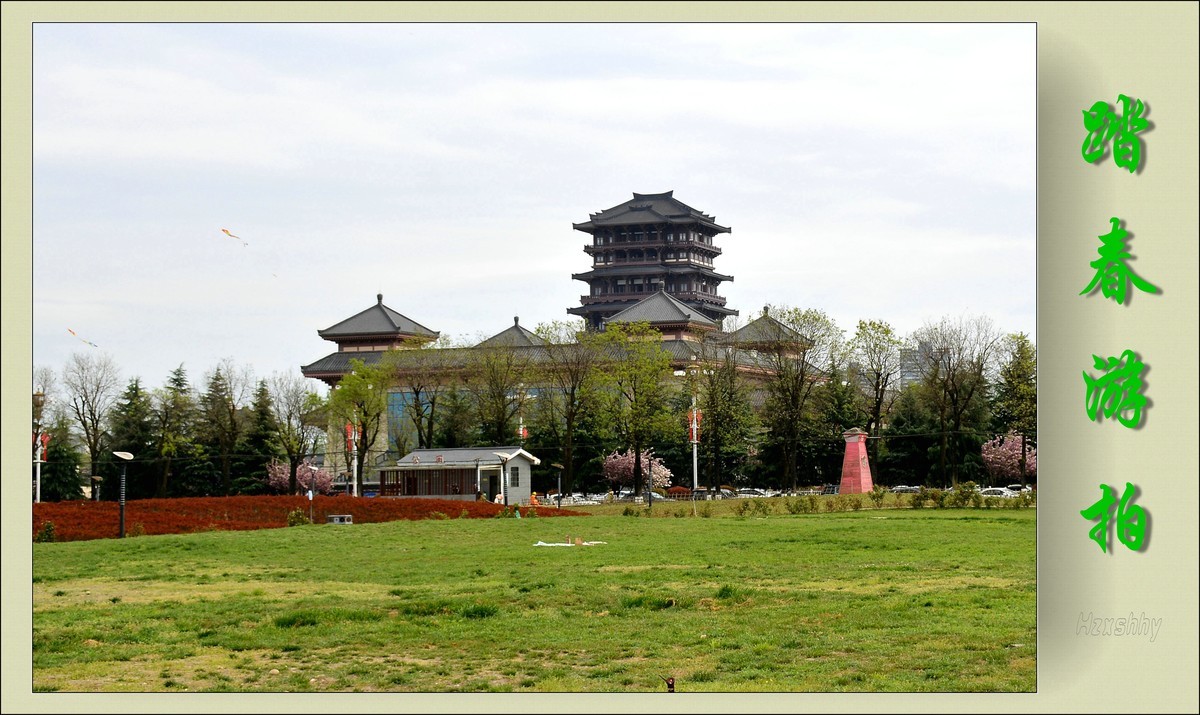 踏春游拍（2024213）