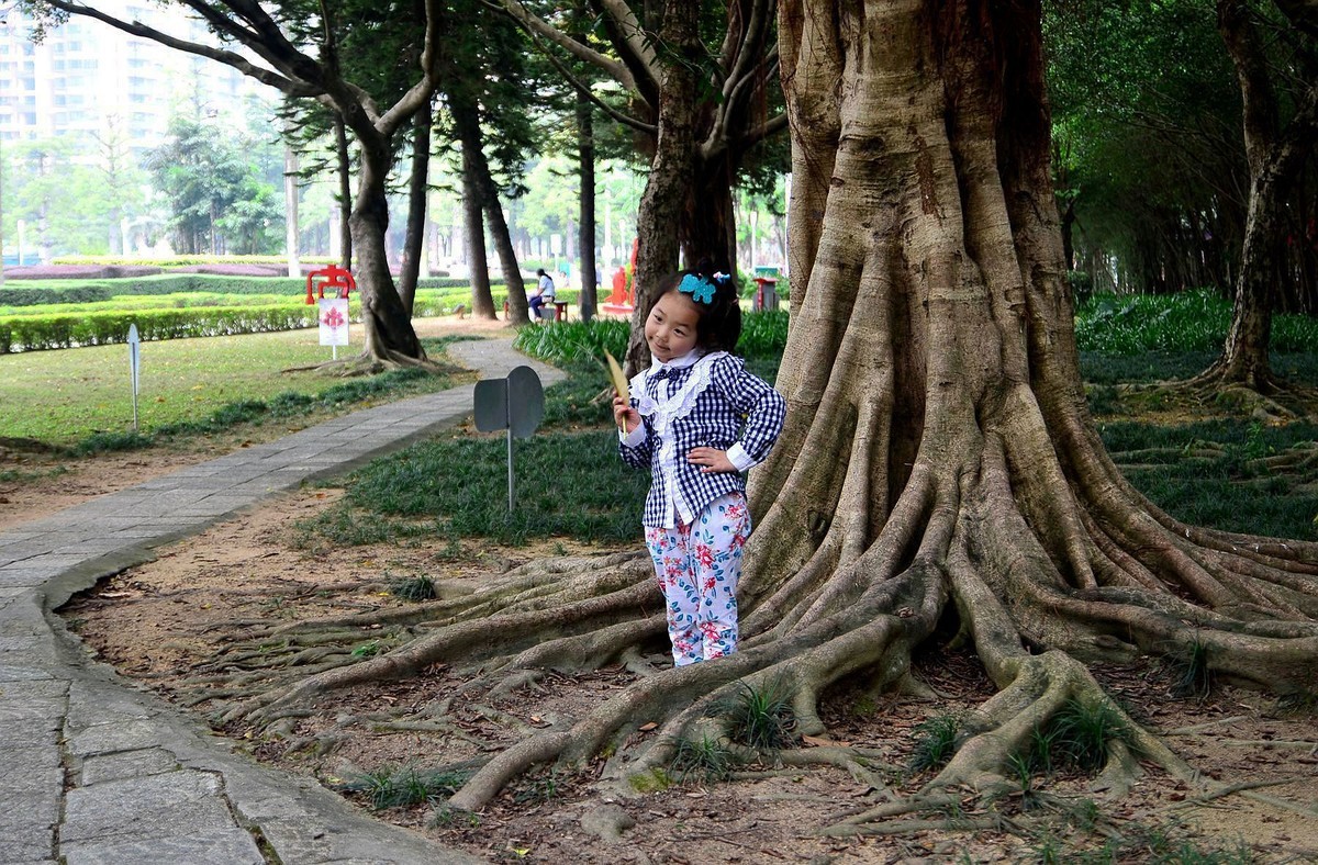 回忆片——中山紫马岭游记（2）
