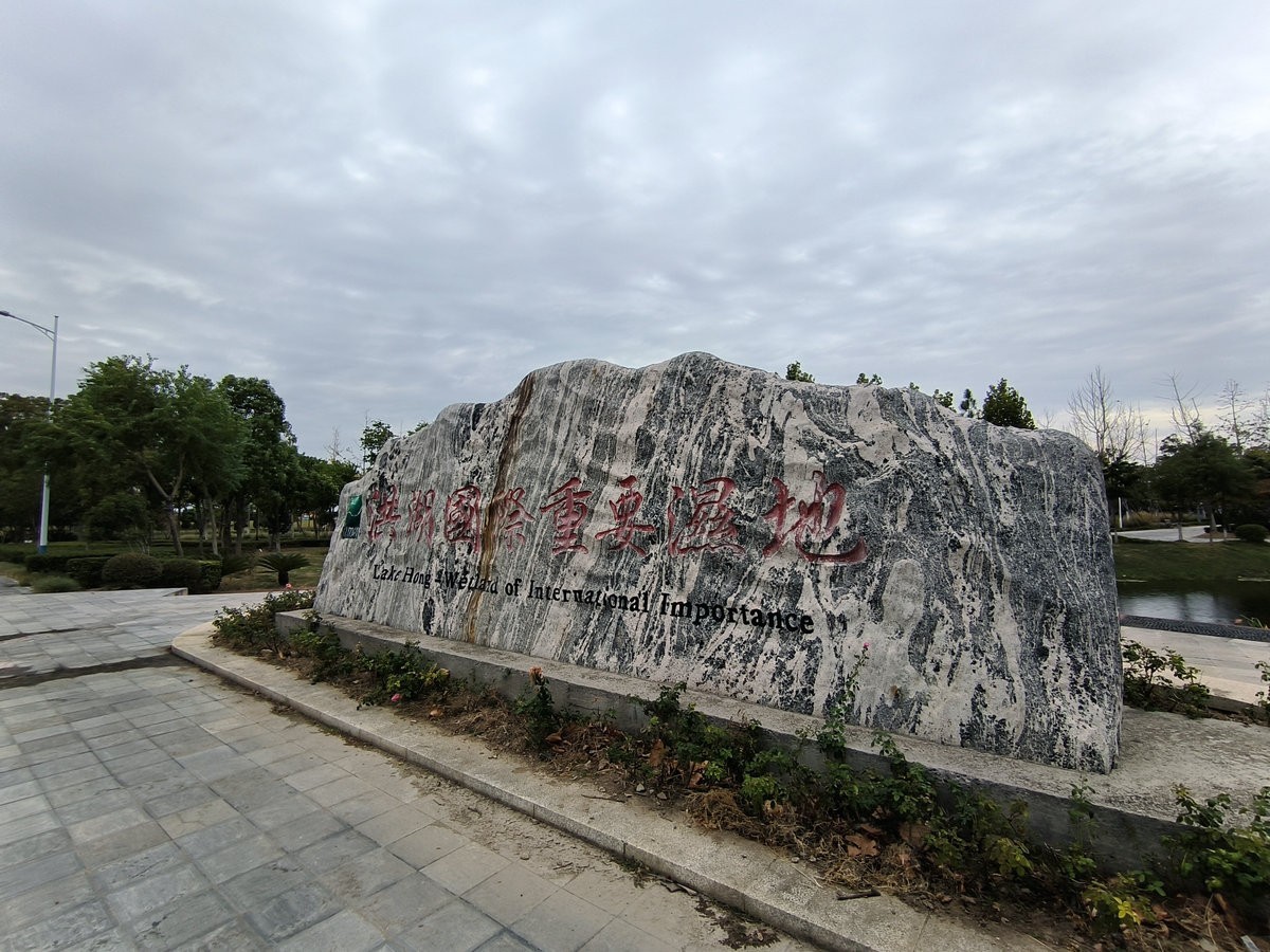 2024秋 江汉行（6）美丽的湖泊-- 洪湖