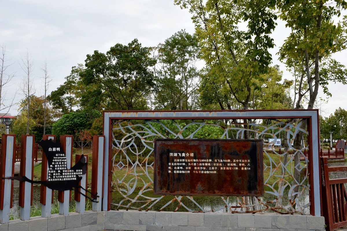 2024秋 江汉行（6）美丽的湖泊-- 洪湖