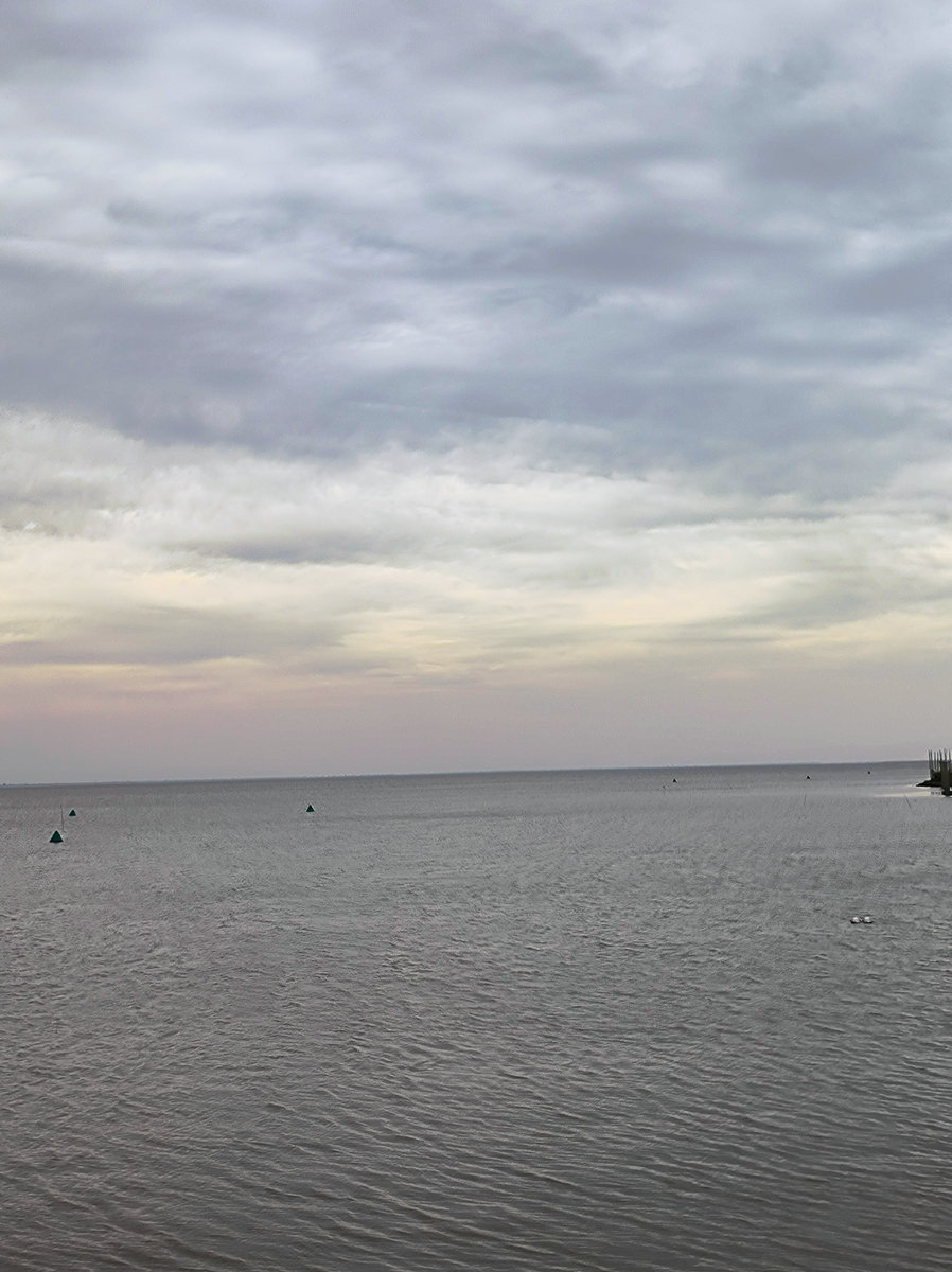 2024秋 江汉行（6）美丽的湖泊-- 洪湖