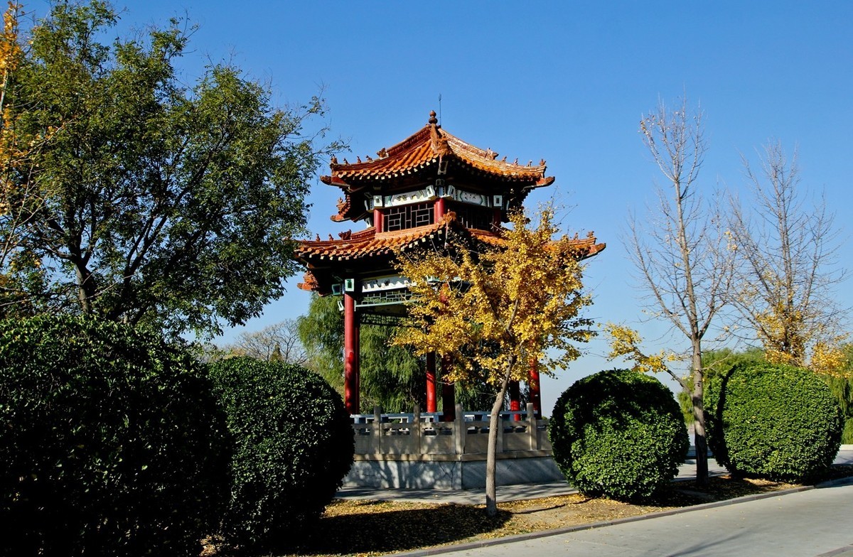 初冬——暖阳下的黄河公园速写（三）