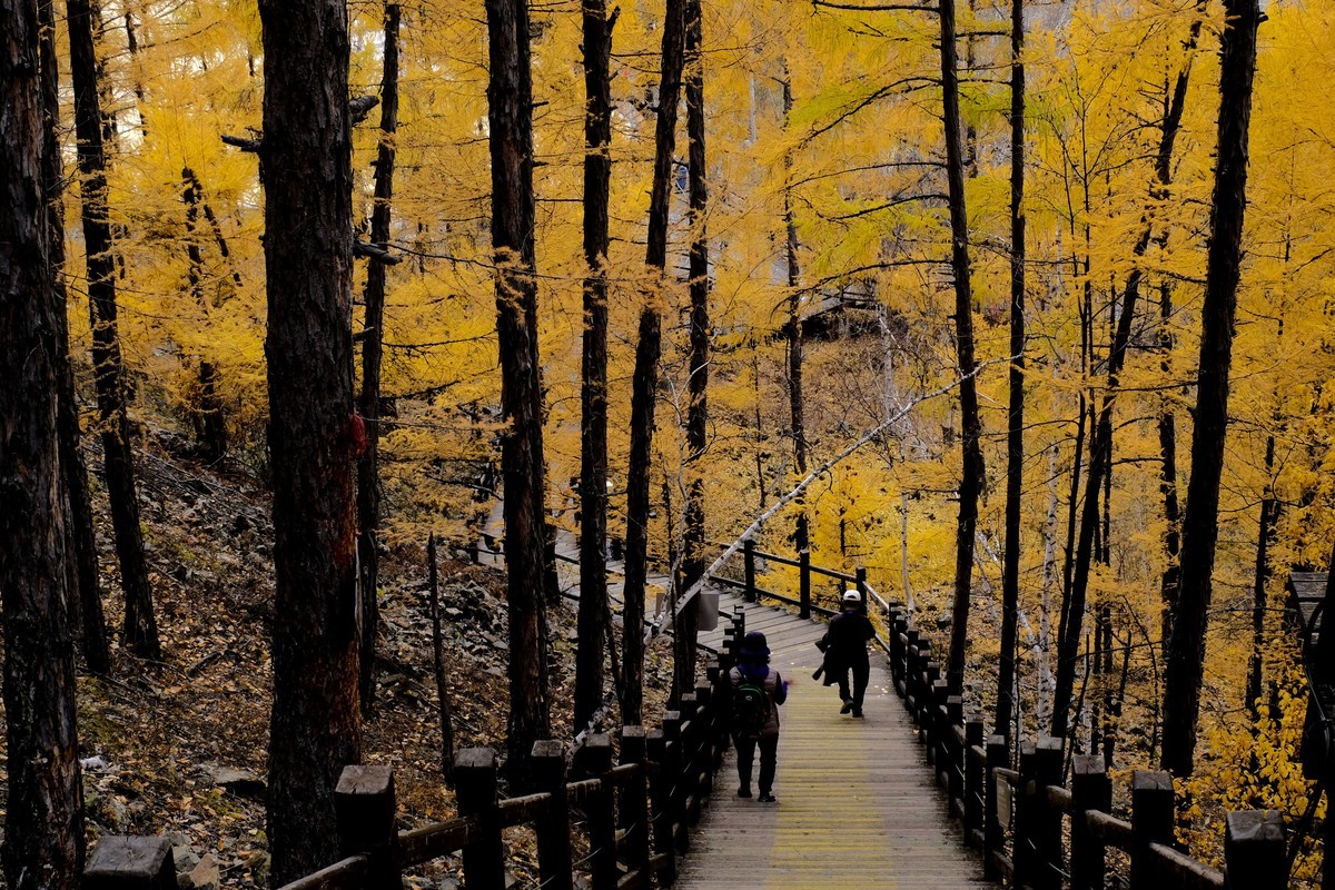 秋色随拍 （6）