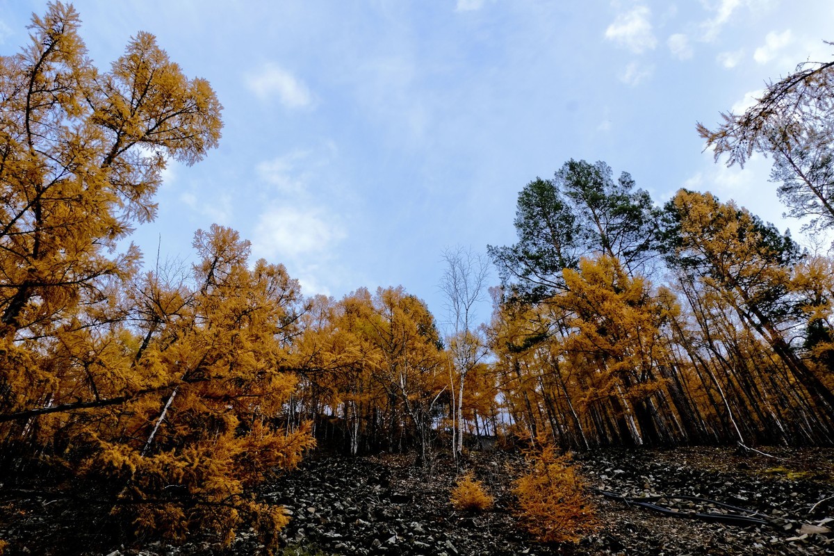 秋色随拍 （6）