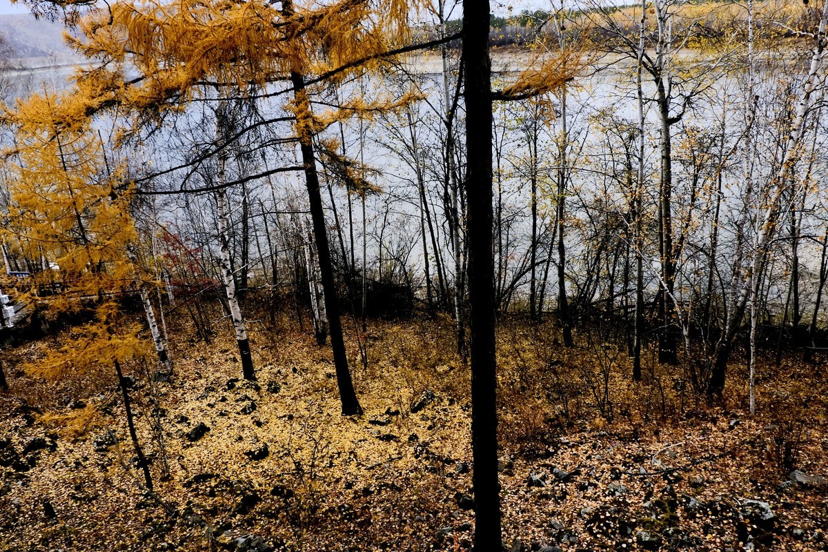 秋色随拍 （6）