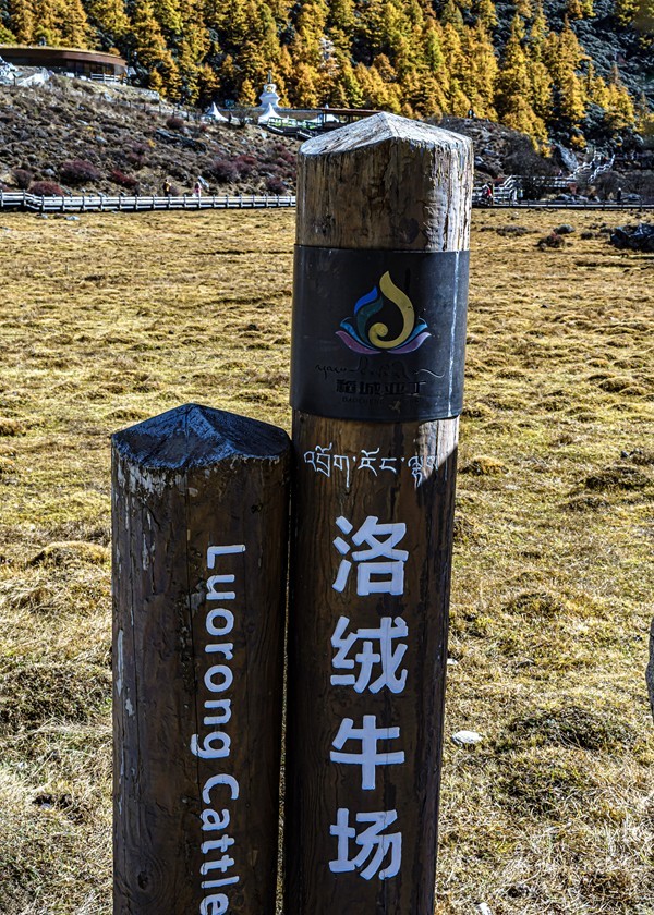 稻城亚丁--秋日行【13】