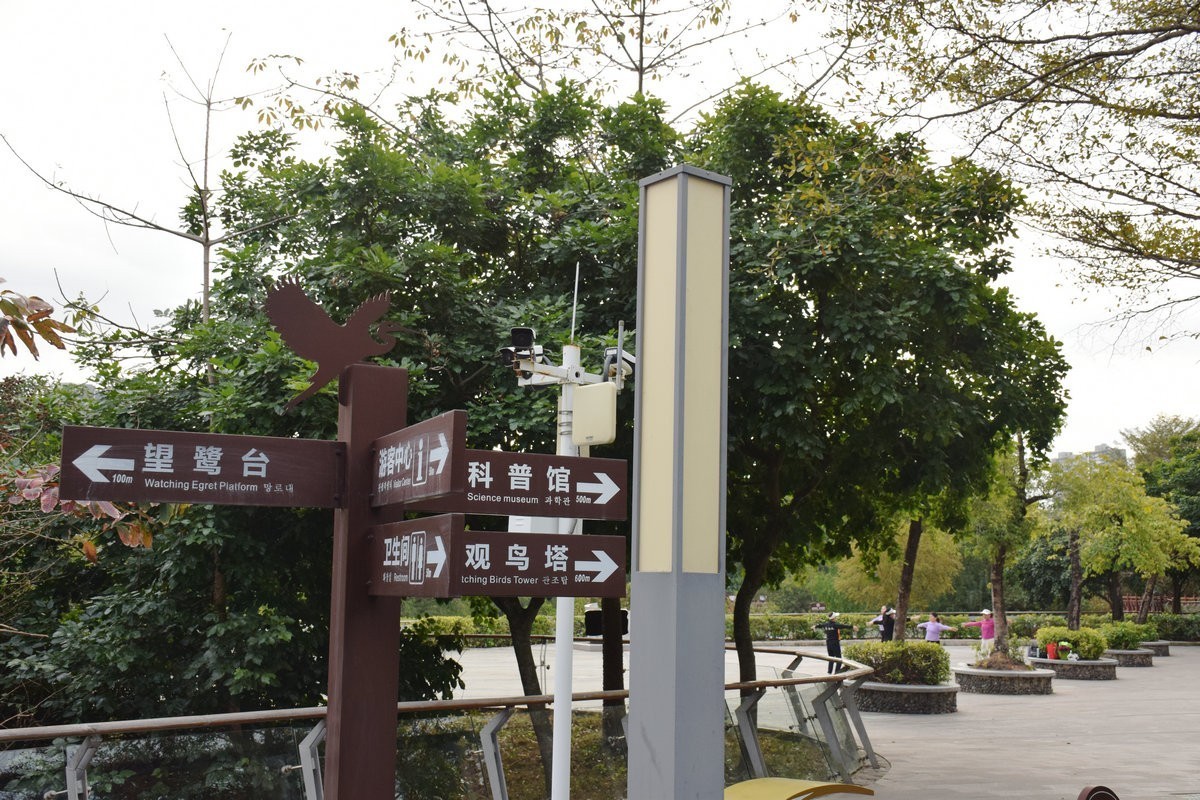 2025春节 广东行（95）“海上森林”