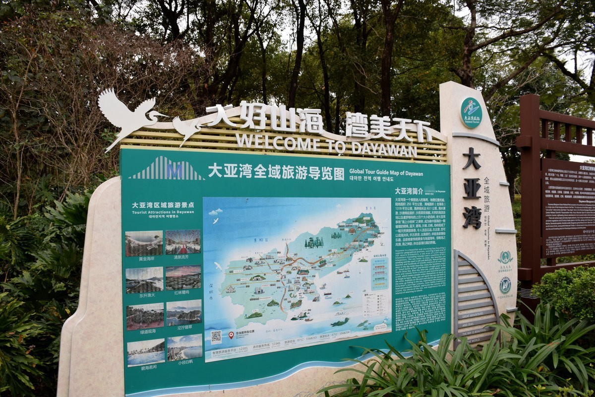 2025春节 广东行（95）“海上森林”