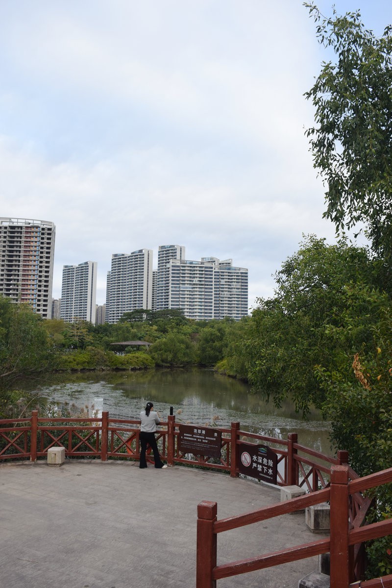 2025春节 广东行（95）“海上森林”