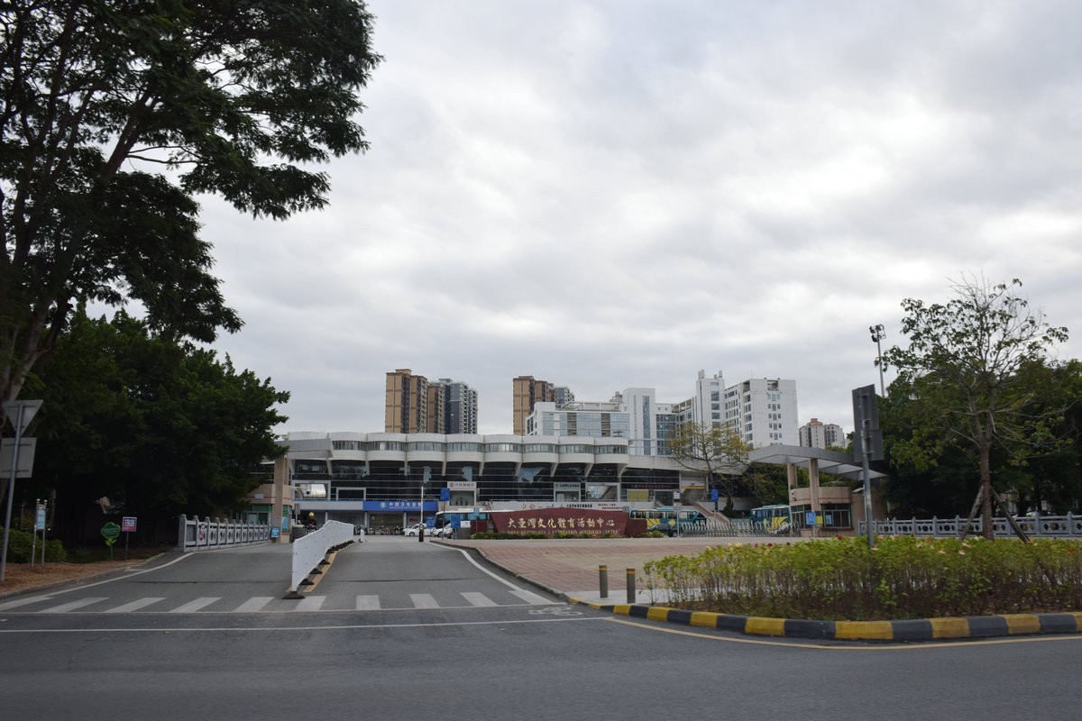 2025春节 广东行（95）“海上森林”