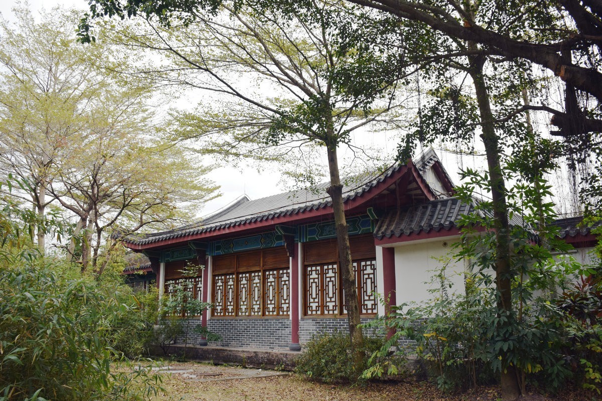 2025春节 广东行（95）“海上森林”