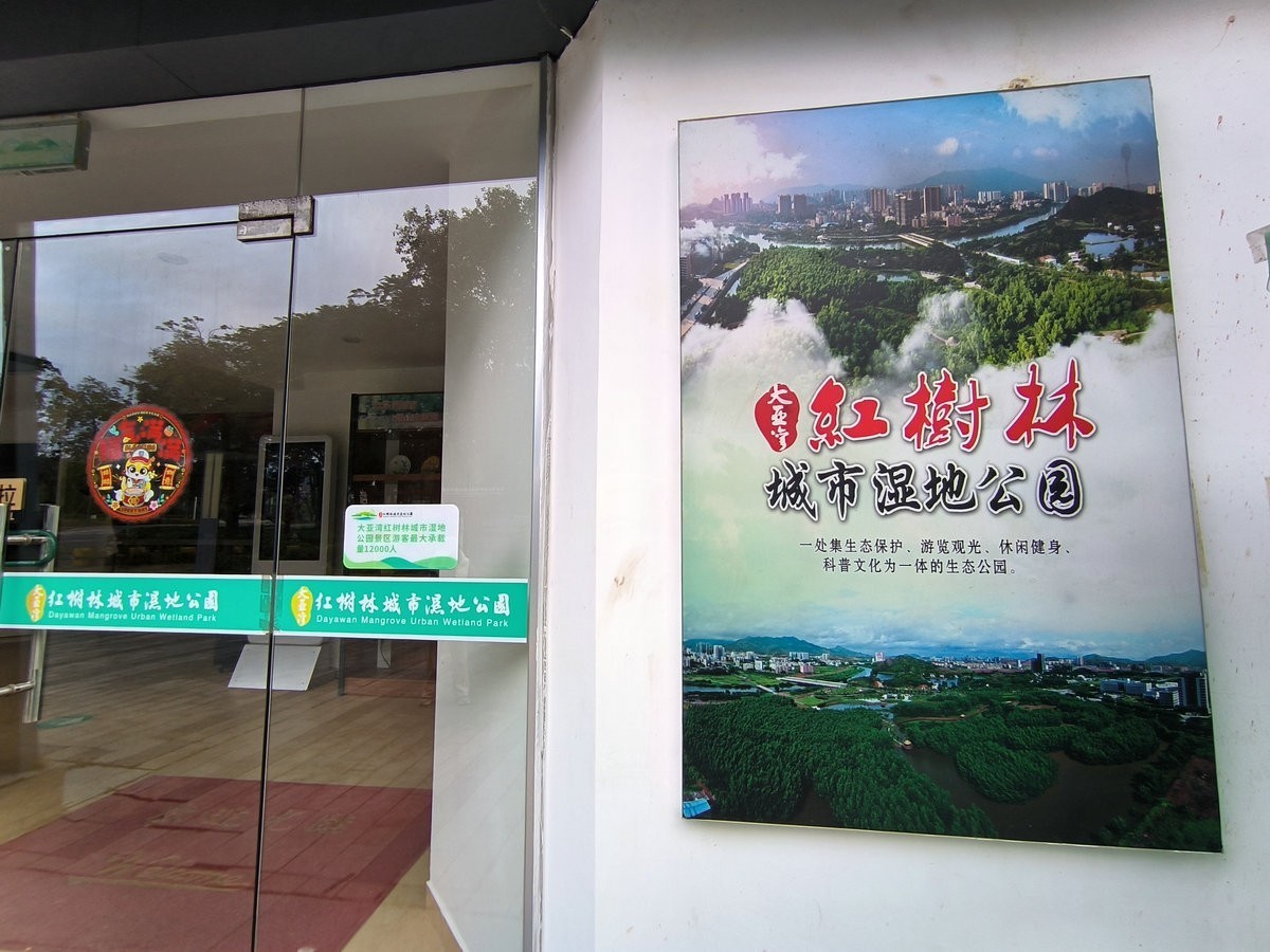 2025春节 广东行（95）“海上森林”