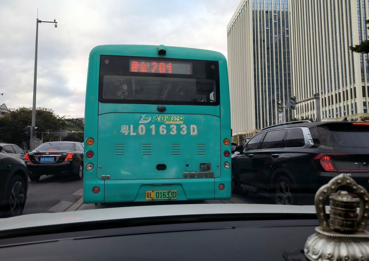 2025春节 广东行（95）“海上森林”