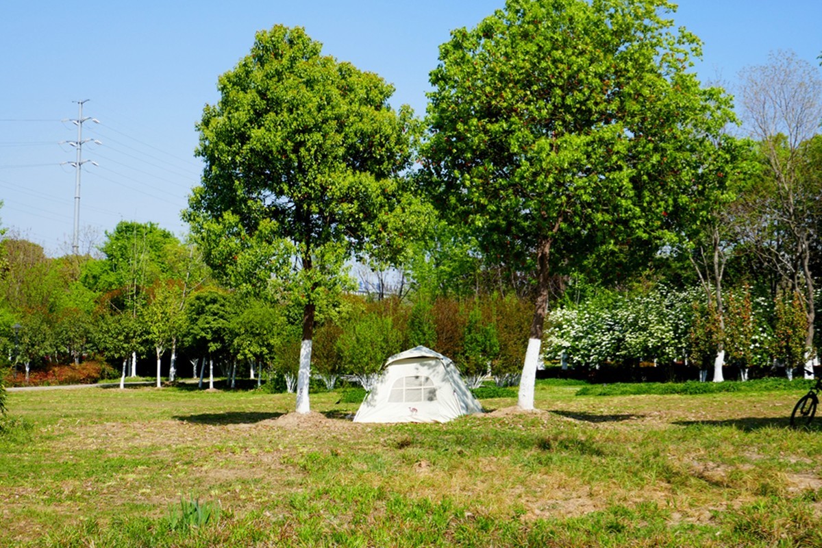 汀棠春色（续）