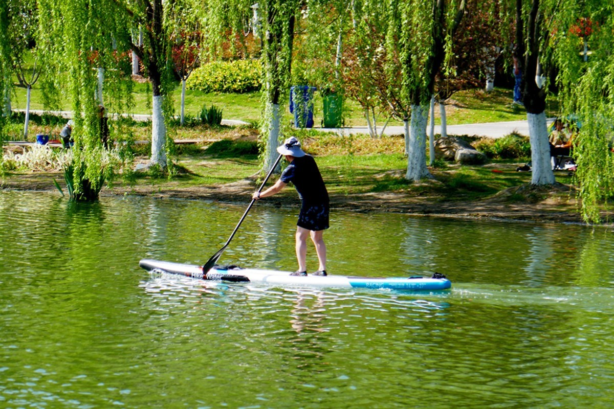 汀棠春色（续）