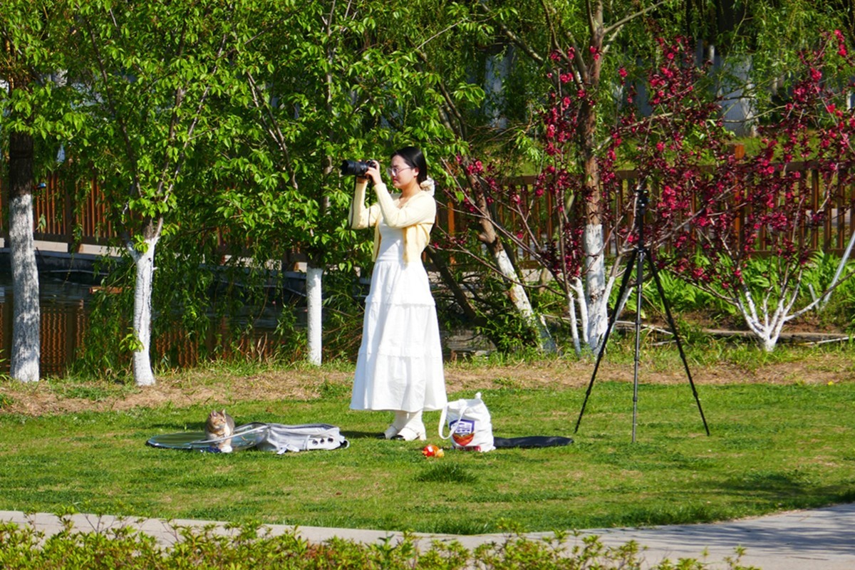 汀棠春色（续）