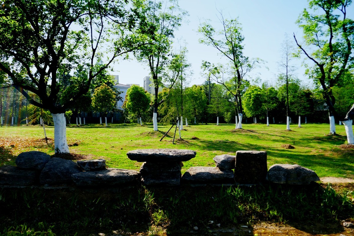 汀棠春色（续）