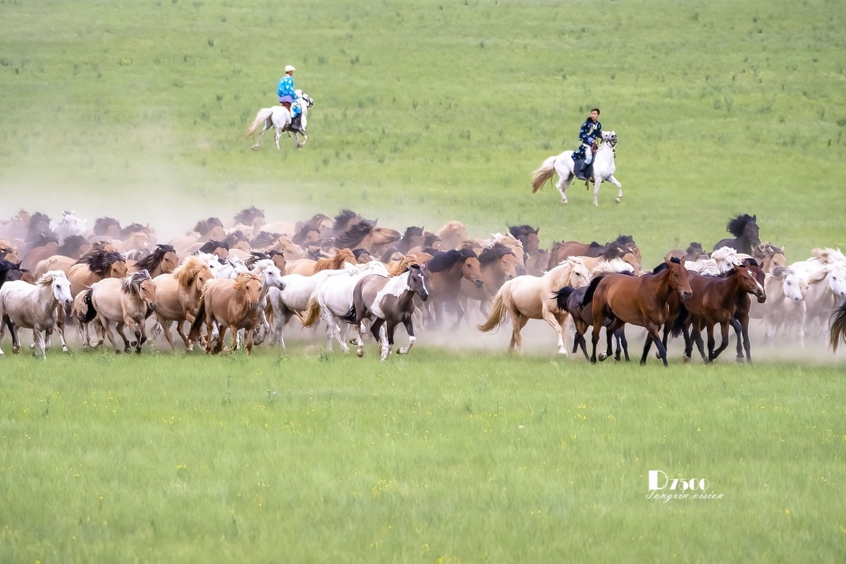 骏马驰骋（6）