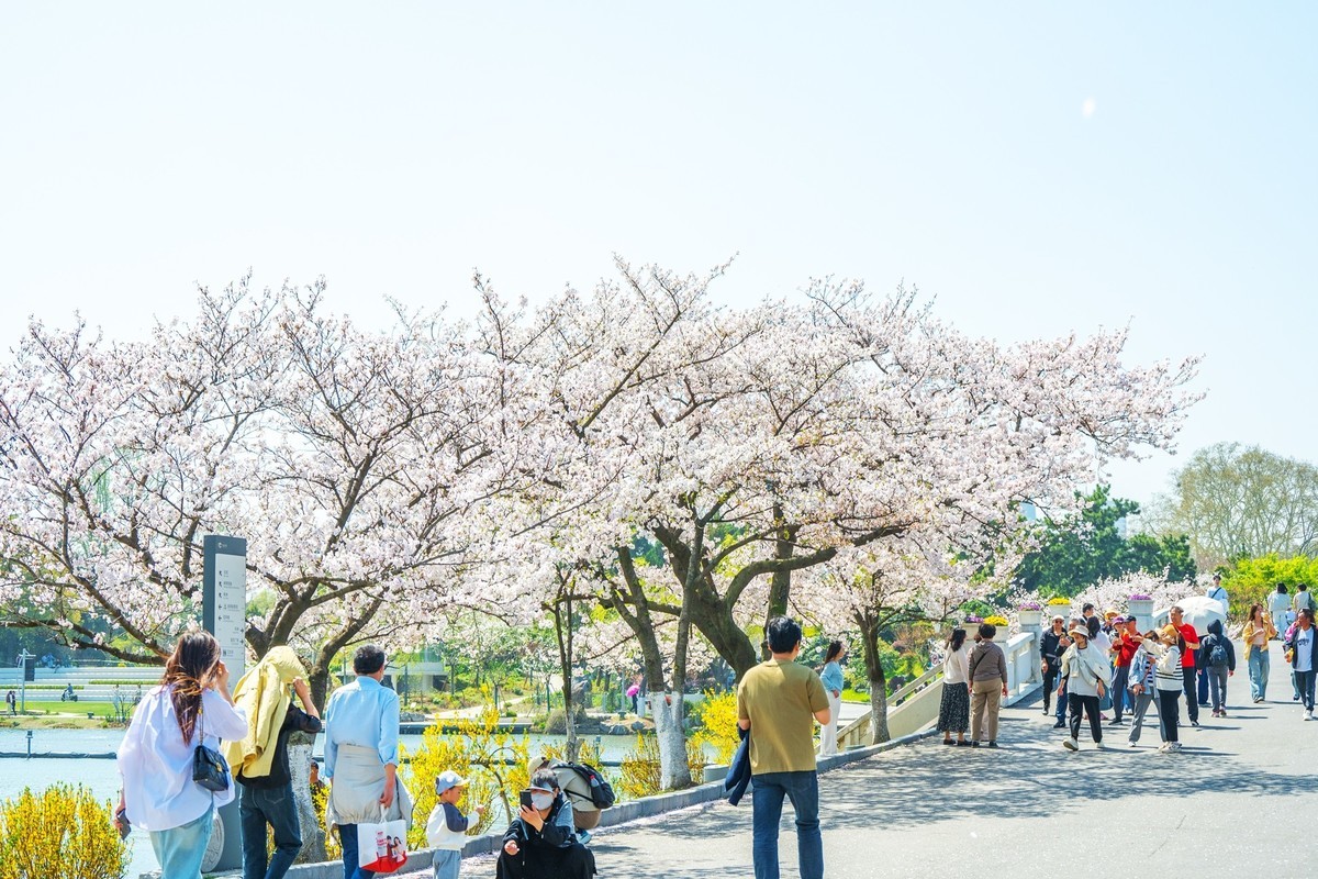江南行—南京玄武湖—(43)—(3)