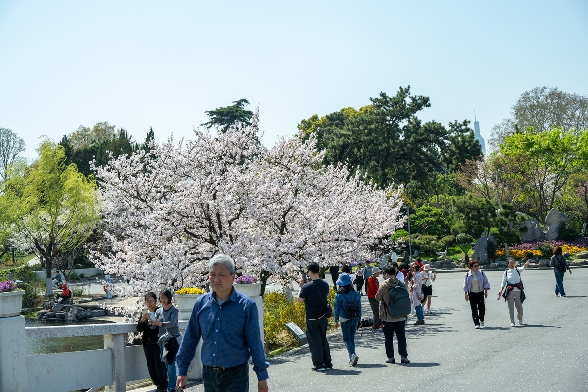 江南行—南京玄武湖—(43)—(3)