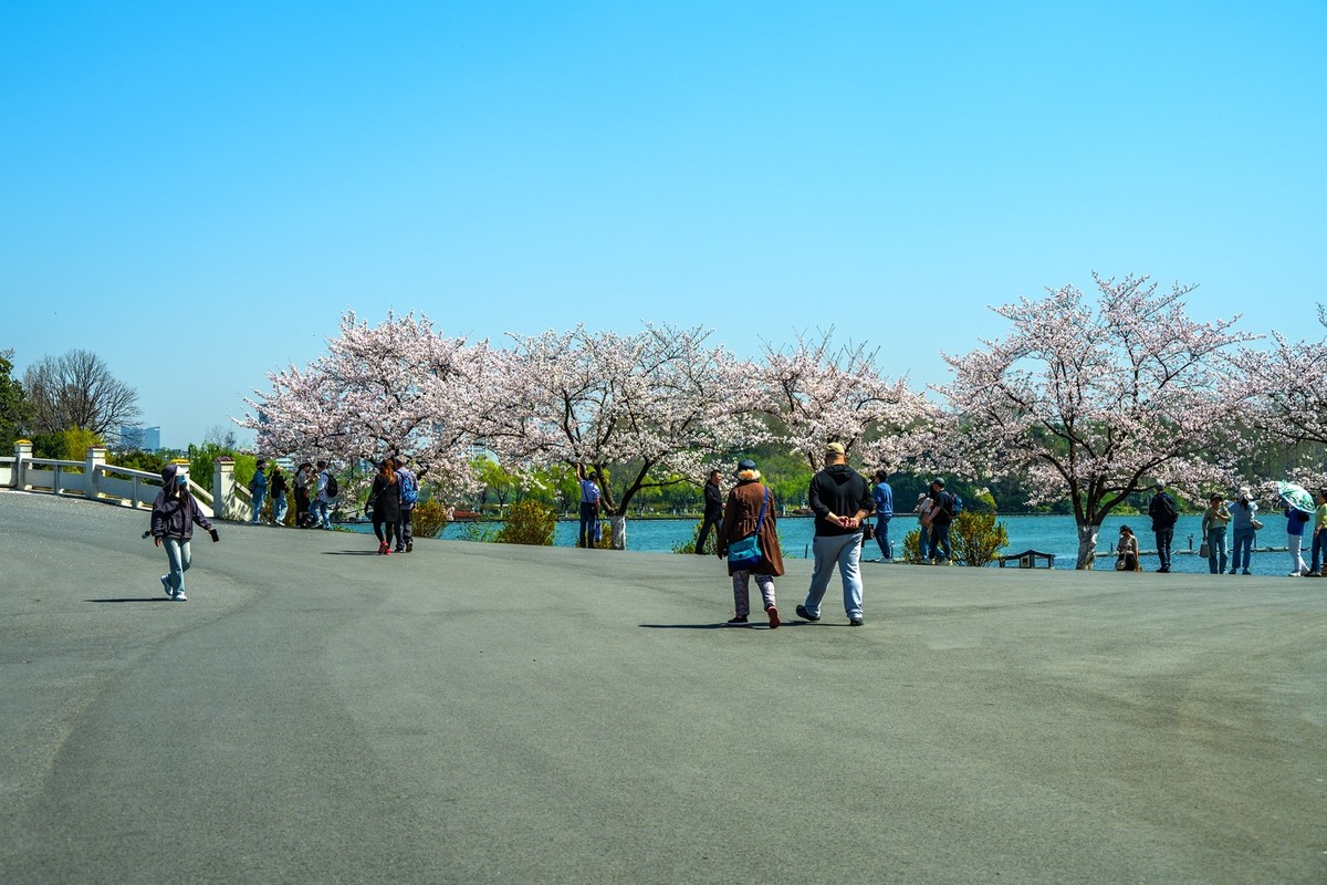 江南行—南京玄武湖—(43)—(3)